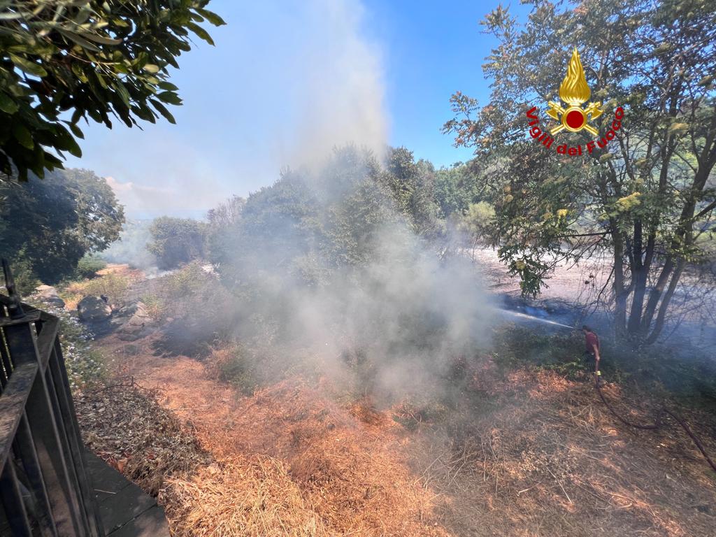 Mulder (delegato emergenza climatica UniCt): “Roghi dolosi? Non solo, a volte si dice per lavarsi le mani” Mulder (delegato emergenza climatica UniCt): “Roghi dolosi? Non solo, a volte si dice per lavarsi le mani”