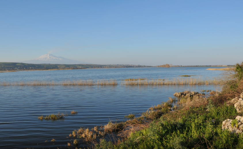 Elettrodotto tra i pantani di Lentini e Gelsari: “Flora e fauna locale a rischio, nessuna rassegnazione a nessuna reazione”