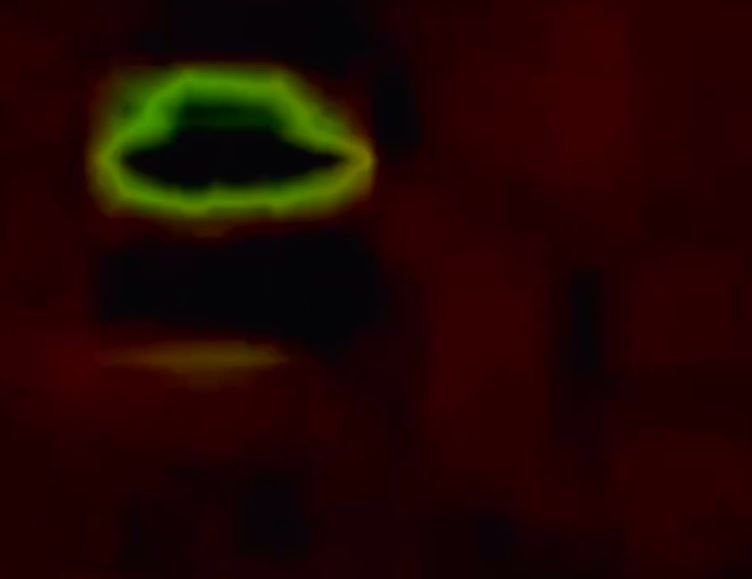 Ufo a Catania, il video dell’avvistamento del 4 luglio scorso