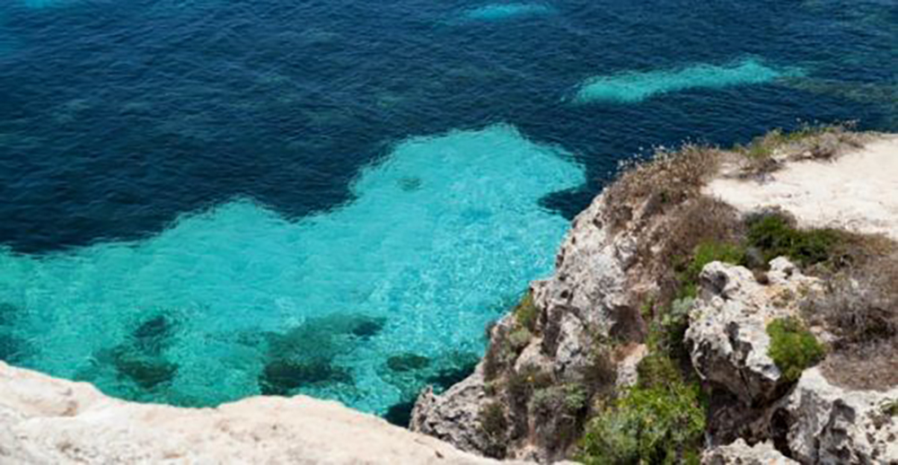 Biodiversità, pubblicata di nuovo graduatoria regionale