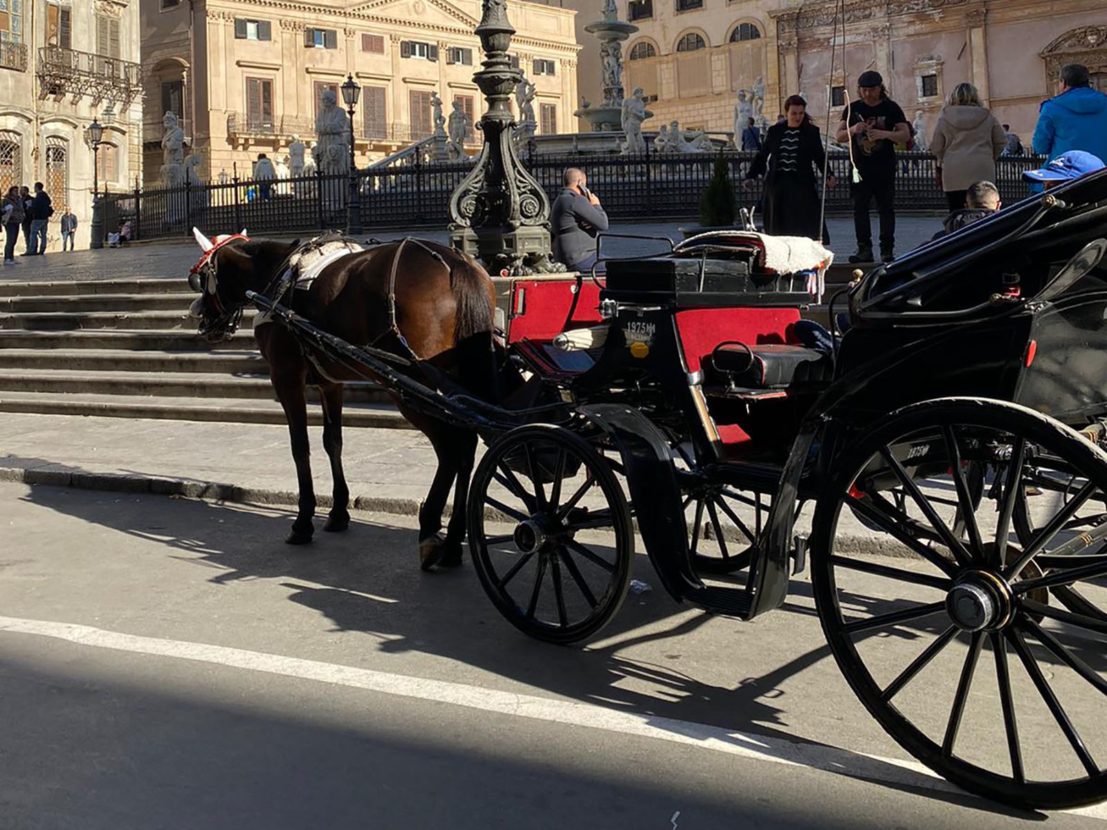Animalisti contro cavalli in carrozze a Palermo, tensioni con i cocchieri