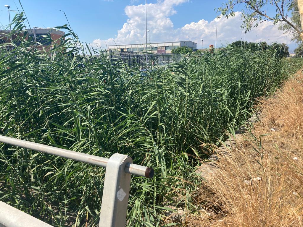 Canali ostruiti e bombe d’acqua: Ugl, cresce la preoccupazioni per allagamenti