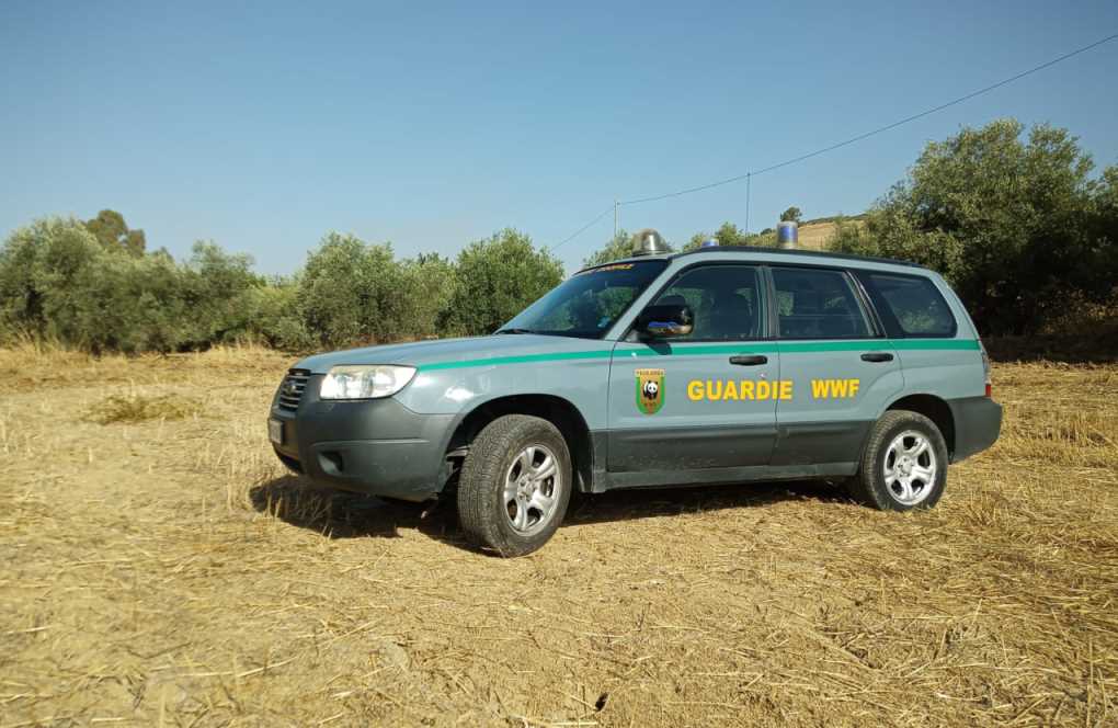 Tutela ambientale, controlli del Wwf in tutta la provincia di Caltanissetta