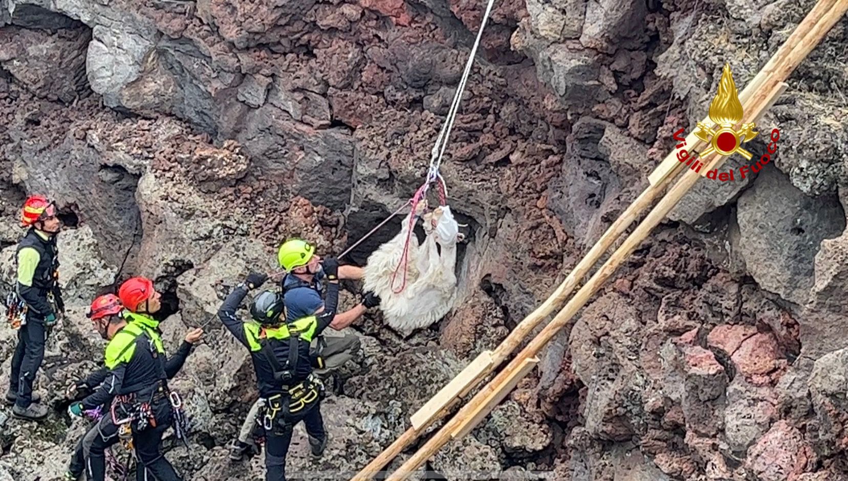 Capretta precipita in un pozzo vulcanico dell’Etna, salvata dai vigili del fuoco – VIDEO