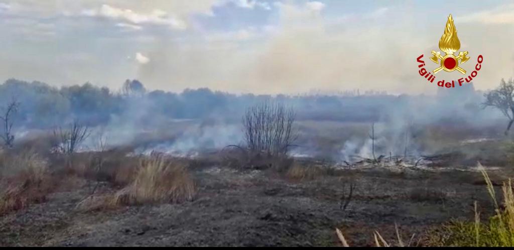 Incendi nel territorio etneo: Vigili del Fuoco al lavoro