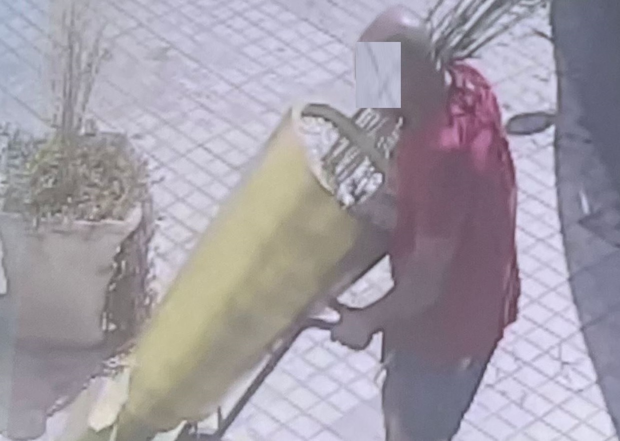 “Bella quella pianta”, e la porta via. Pregiudicato 45enne denunciato per furto