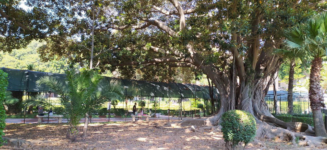 Estate di successi per i Giardini di Palazzo Orléans: oltre 26mila visitatori Estate di successi per i Giardini di Palazzo Orléans: oltre 26mila visitatori