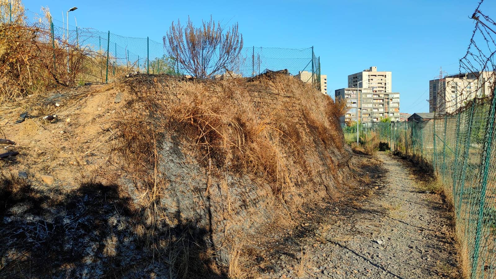Orto incendiato a Librino: rabbia di ortolani e associazioni, scatta la denuncia