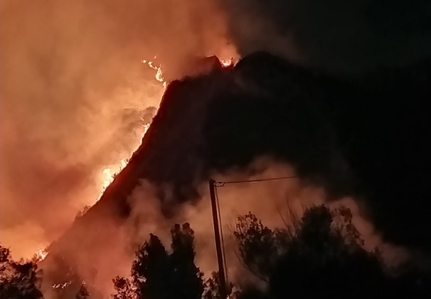 Sicilia, non si placano gli incendi ma all’appello mancheranno 4.000 forestali