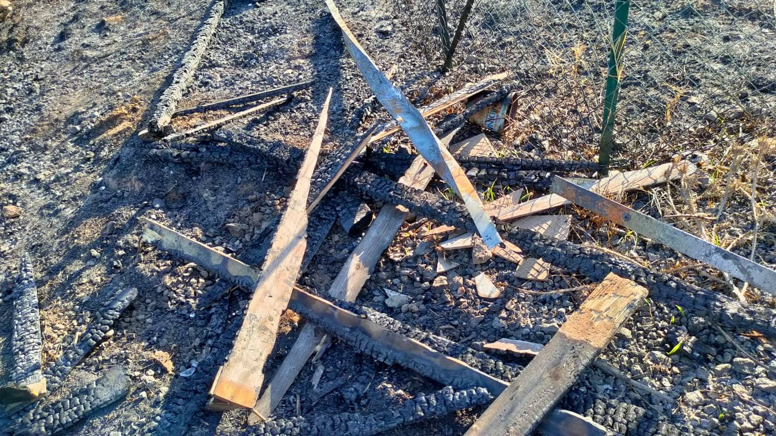 Orto incendiato a Librino: rabbia di ortolani e associazioni, scatta la denuncia