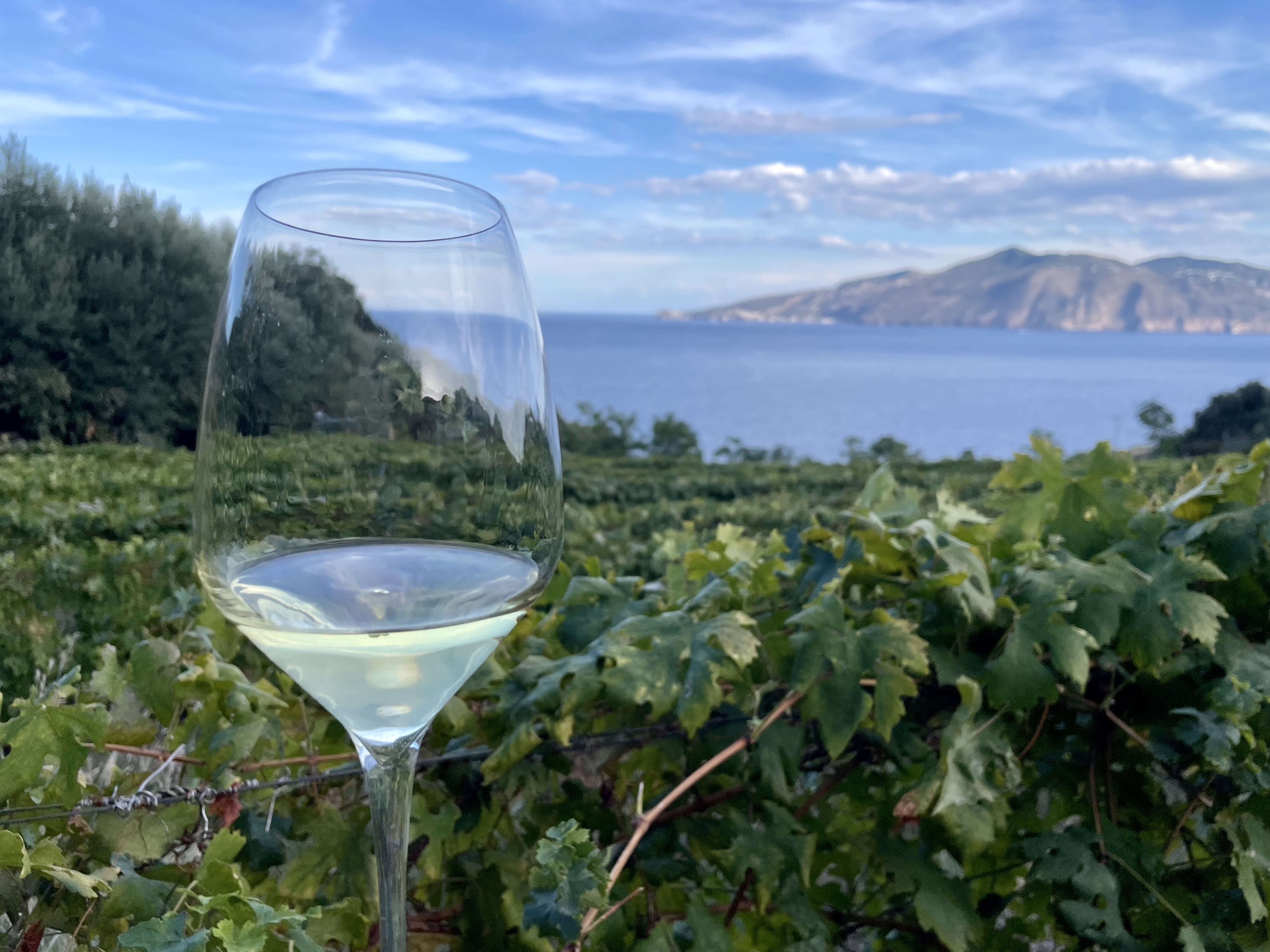 Malvasia Day, conclusa l’undicesima edizione alle isole Eolie