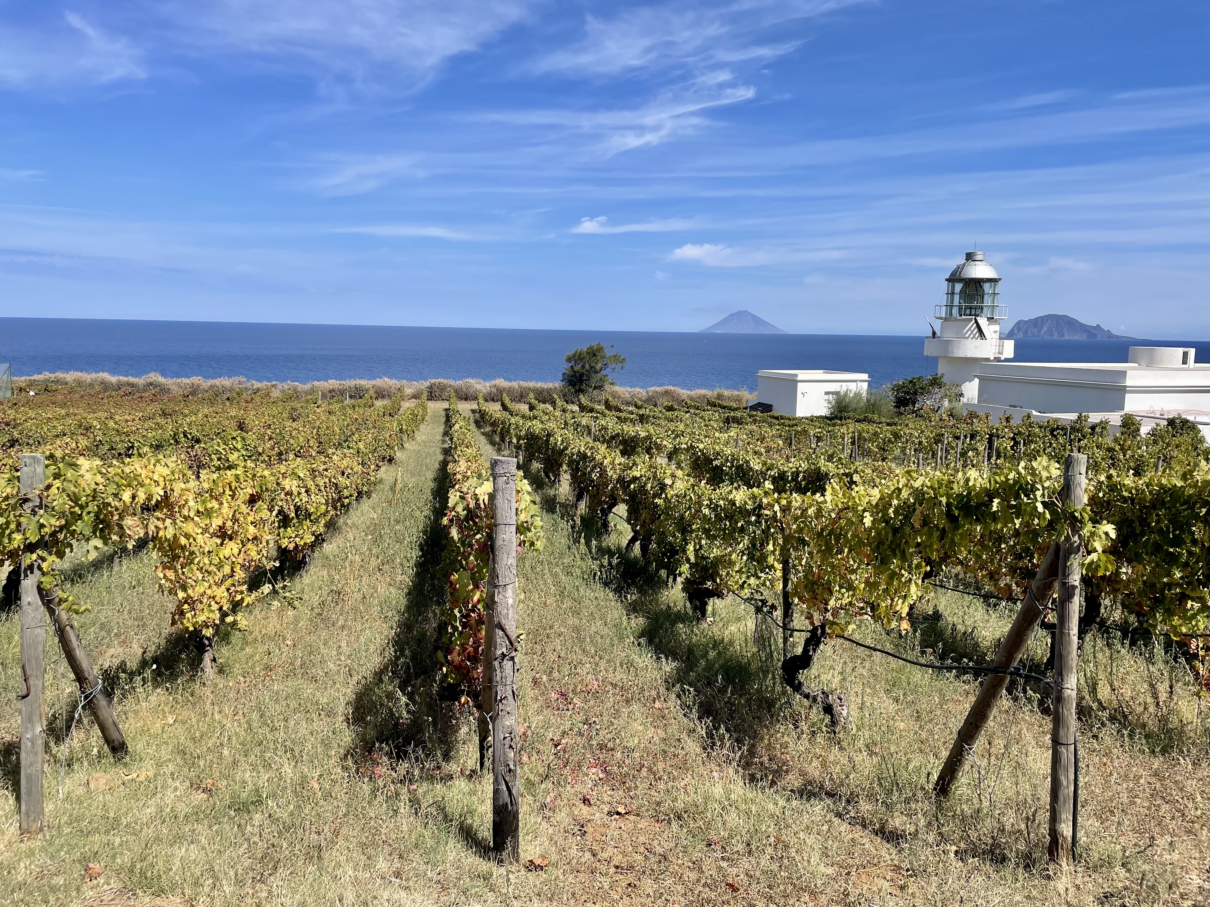 Malvasia Day, conclusa l’undicesima edizione alle isole Eolie Malvasia Day, conclusa l’undicesima edizione alle isole Eolie
