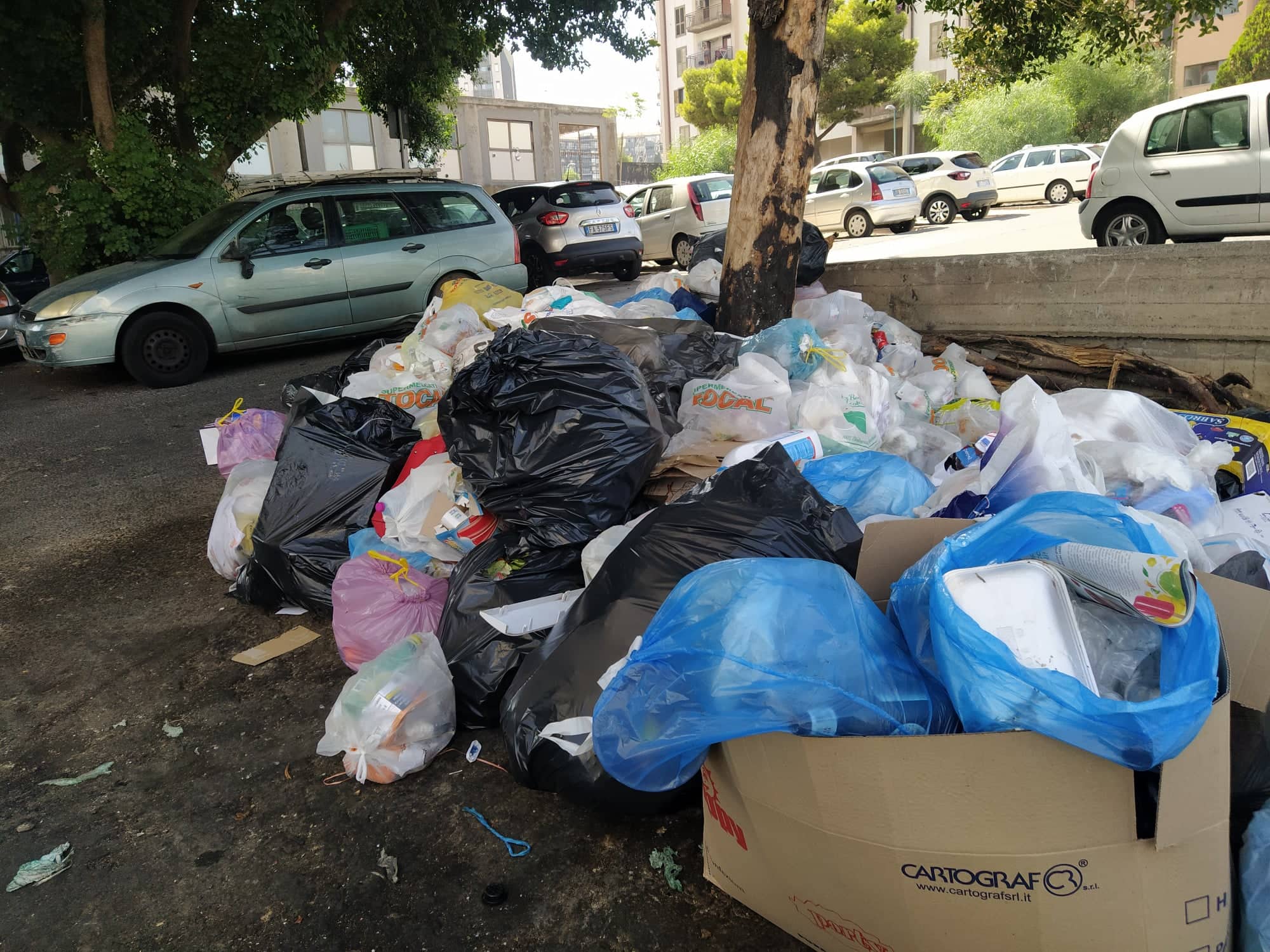 Fogne in strada e cumuli di rifiuti: bomba ecologica a Librino