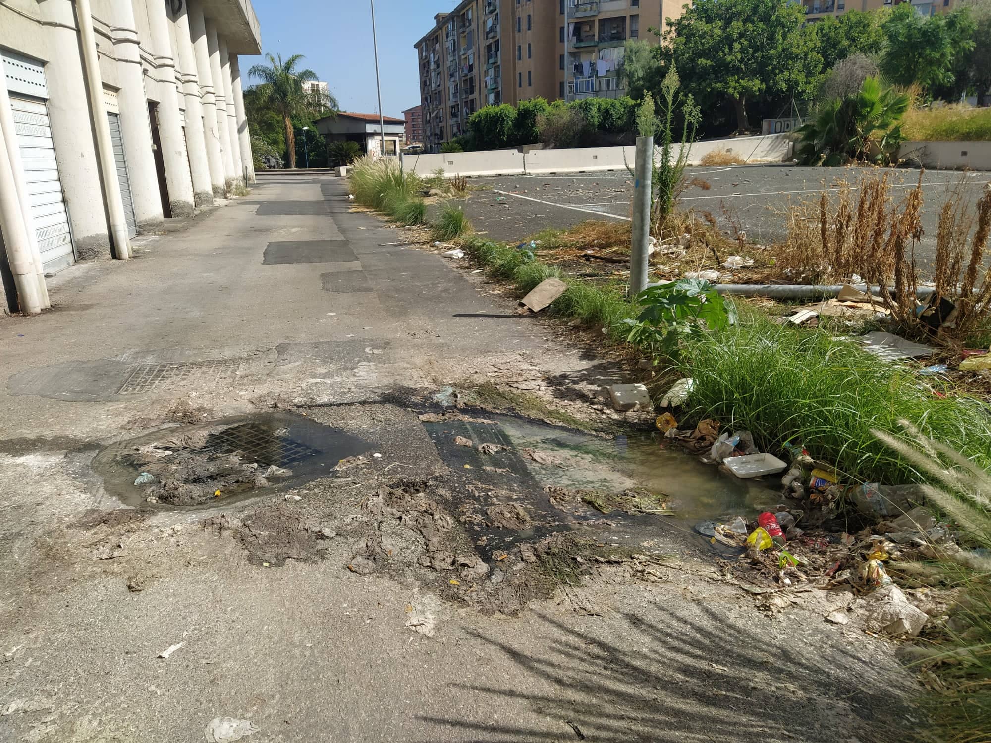Fogne in strada e cumuli di rifiuti: bomba ecologica a Librino