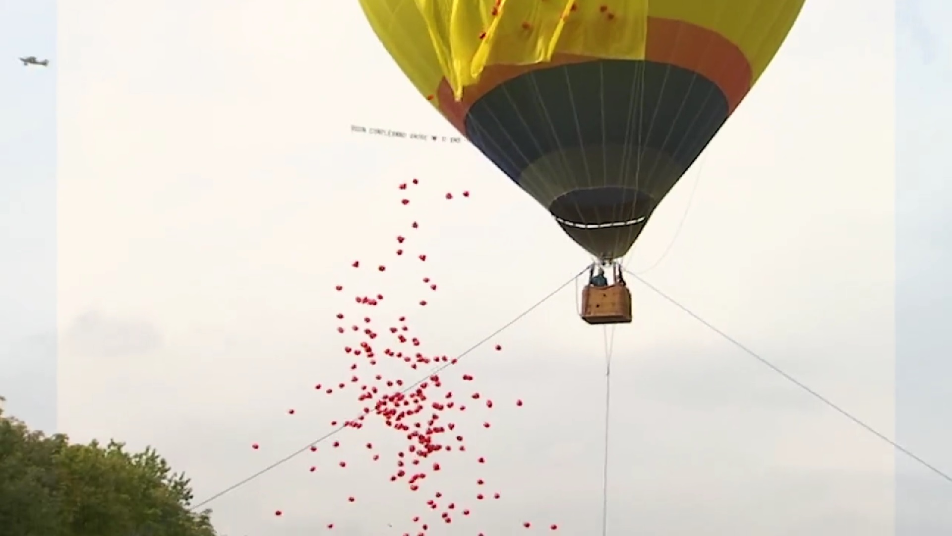 “Buon compleanno, amore!”, la sorpresa di Marta Fascina (eletta in Sicilia) a Berlusconi