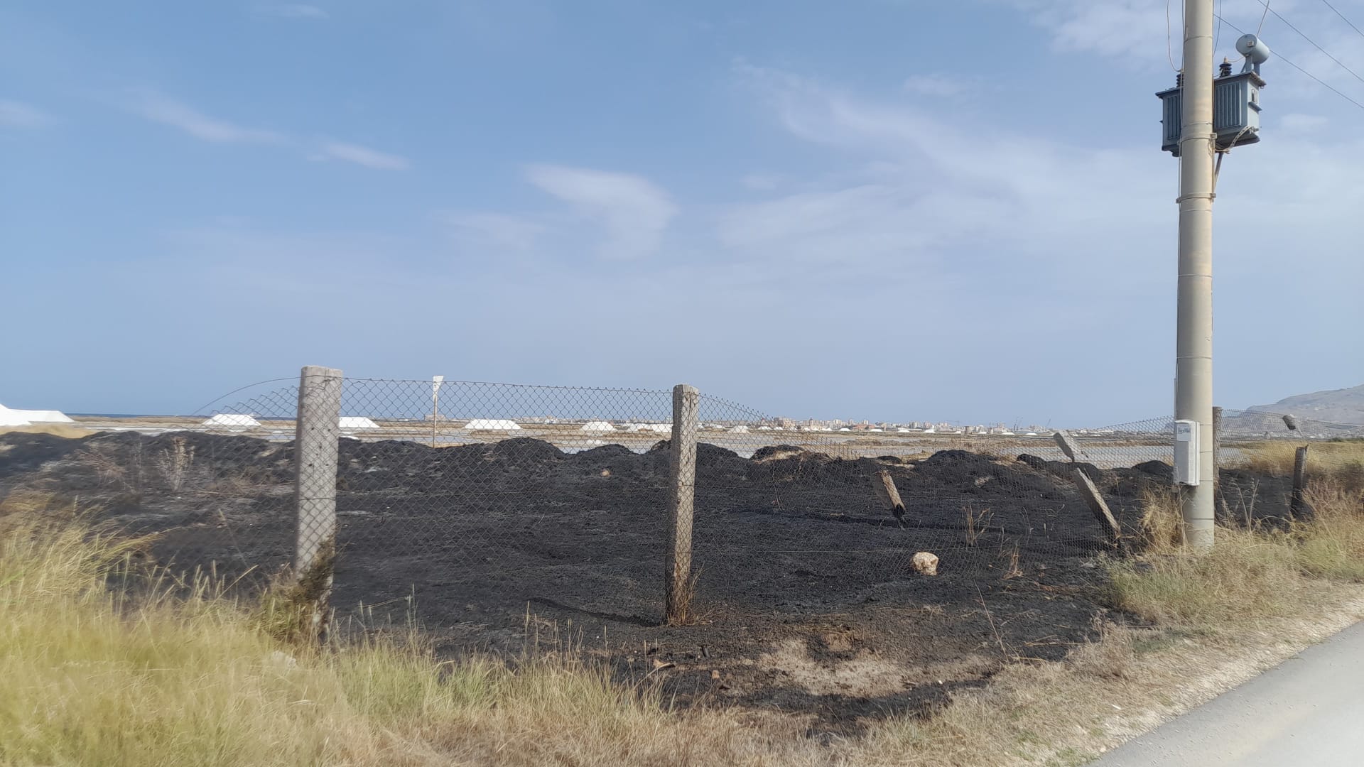 La Riserva delle Saline “preda” dei piromani: la denuncia del WWF – FOTO