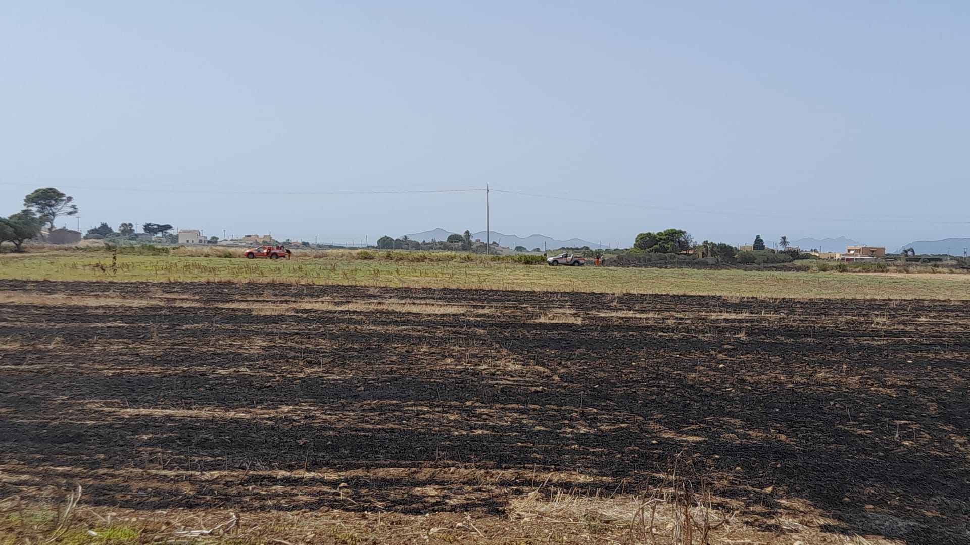 La Riserva delle Saline “preda” dei piromani: la denuncia del WWF – FOTO
