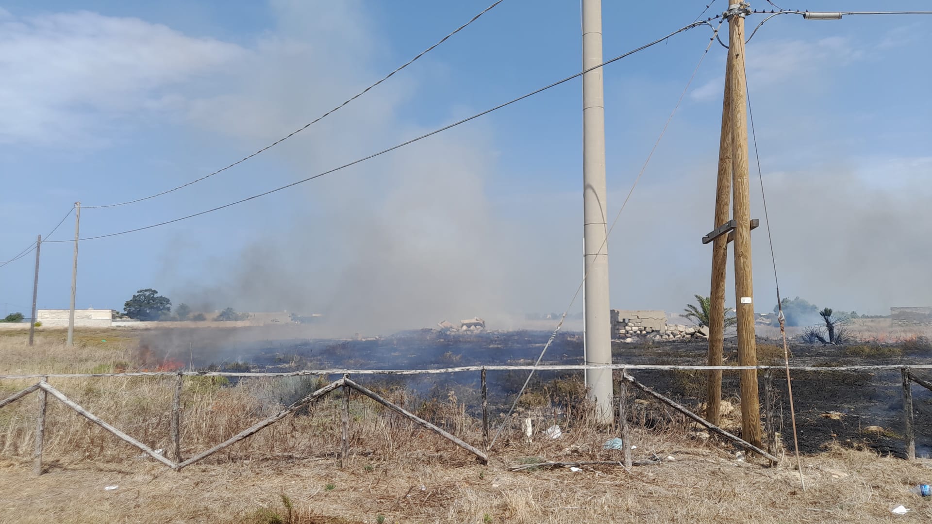 La Riserva delle Saline “preda” dei piromani: la denuncia del WWF – FOTO