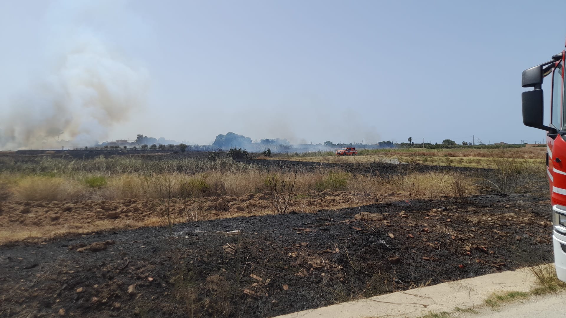 La Riserva delle Saline “preda” dei piromani: la denuncia del WWF – FOTO