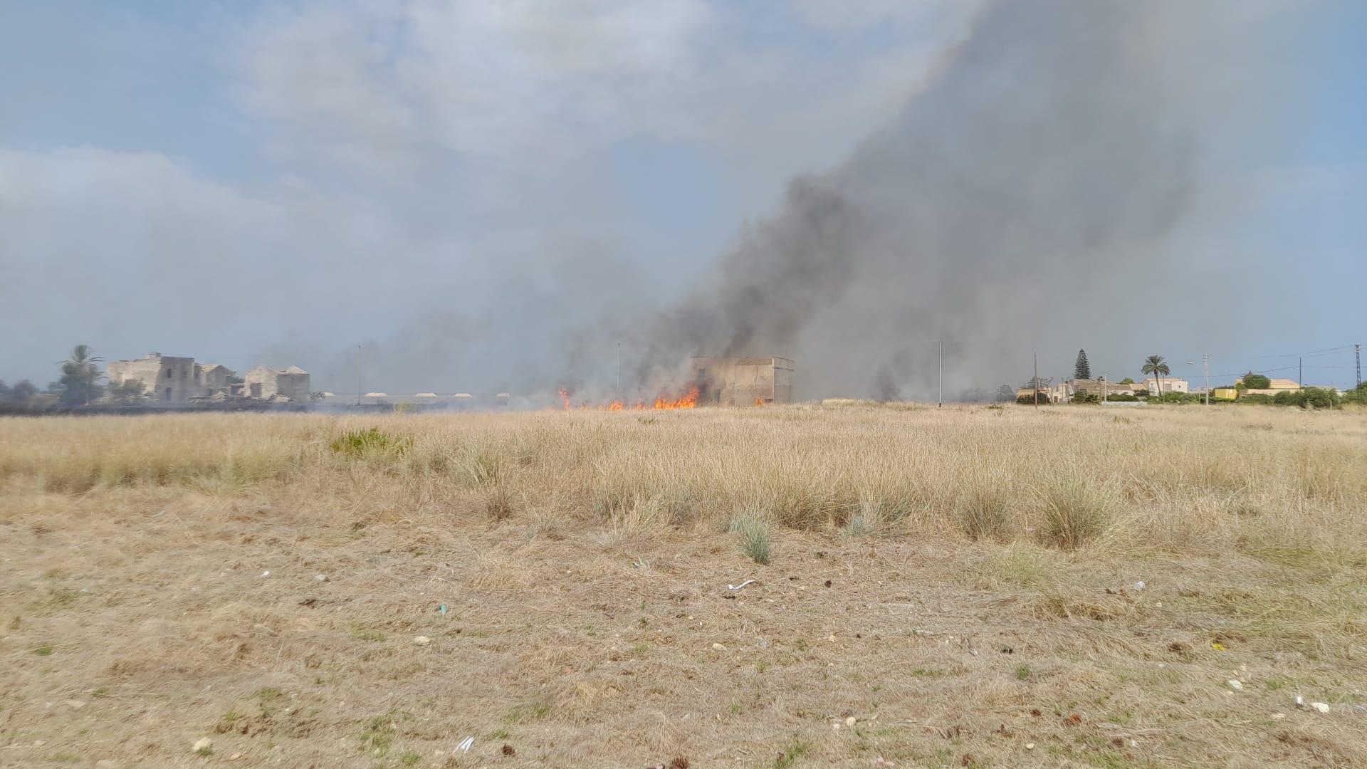 La Riserva delle Saline “preda” dei piromani: la denuncia del WWF – FOTO