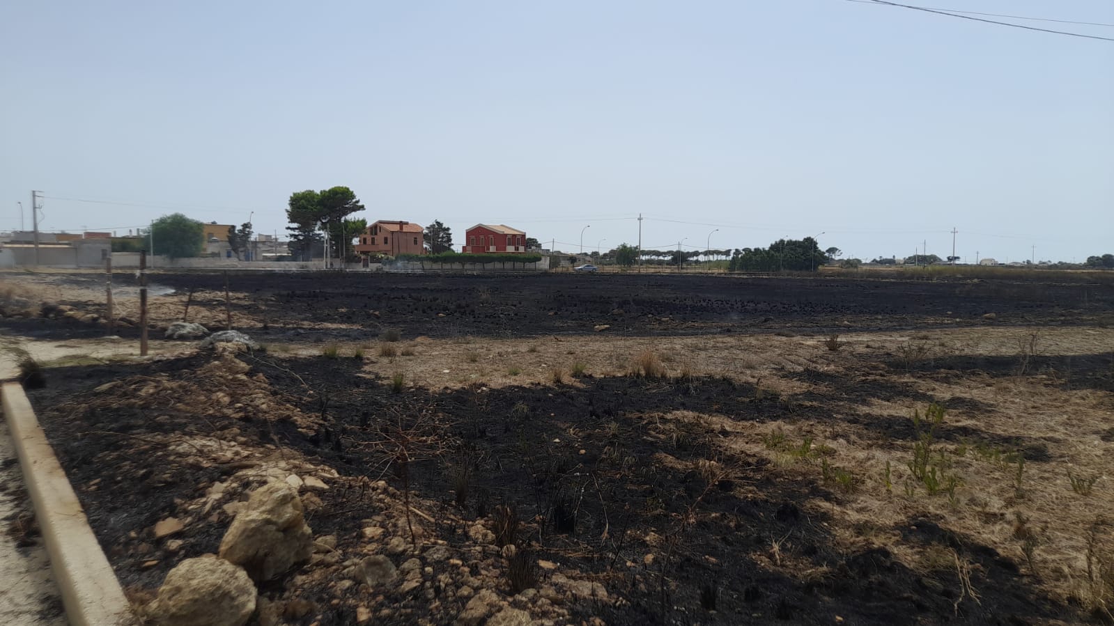 La Riserva delle Saline “preda” dei piromani: la denuncia del WWF – FOTO