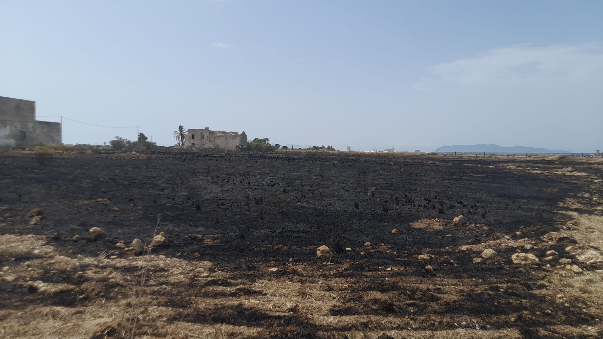 La Riserva delle Saline “preda” dei piromani: la denuncia del WWF – FOTO