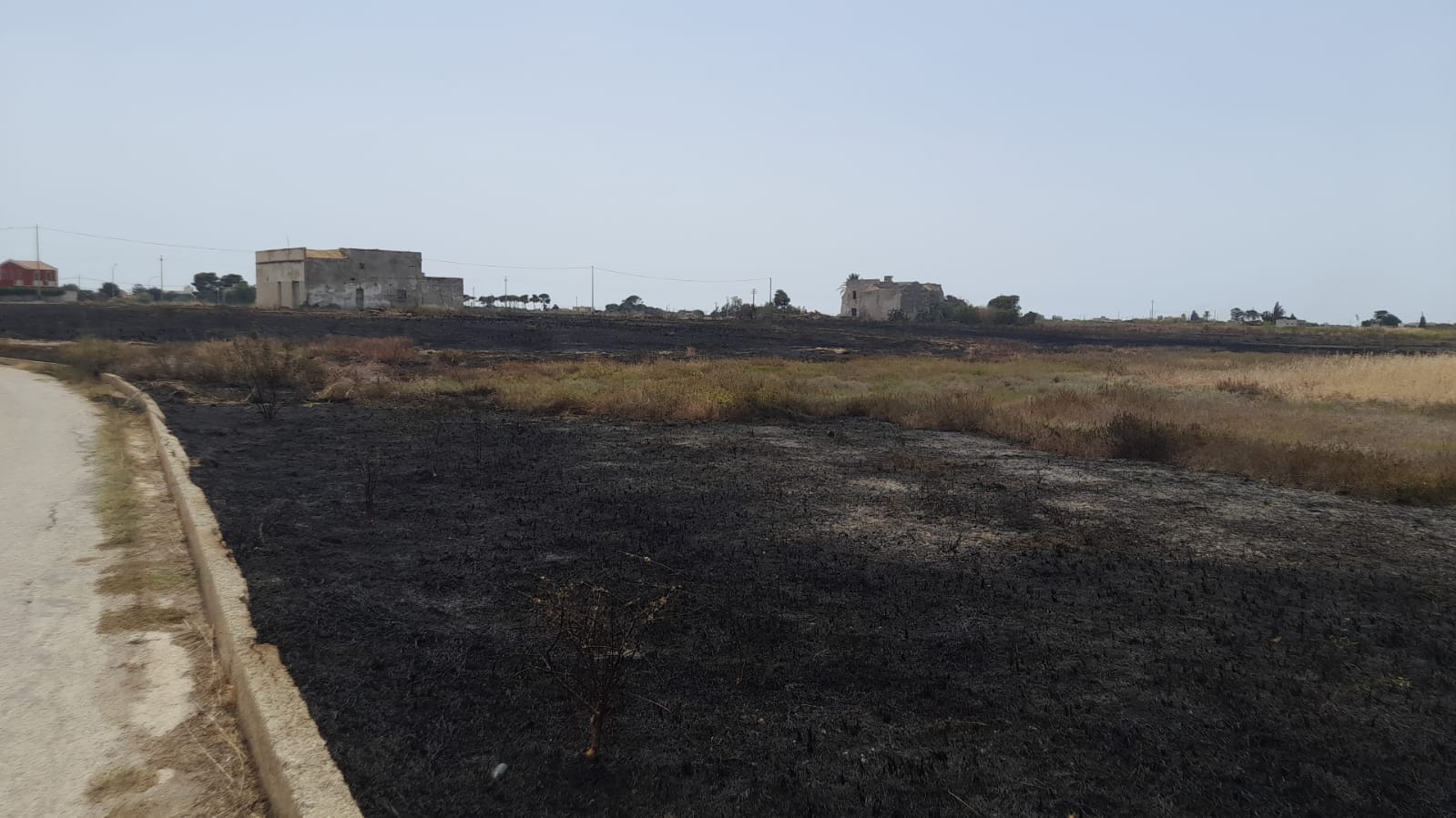 La Riserva delle Saline “preda” dei piromani: la denuncia del WWF – FOTO