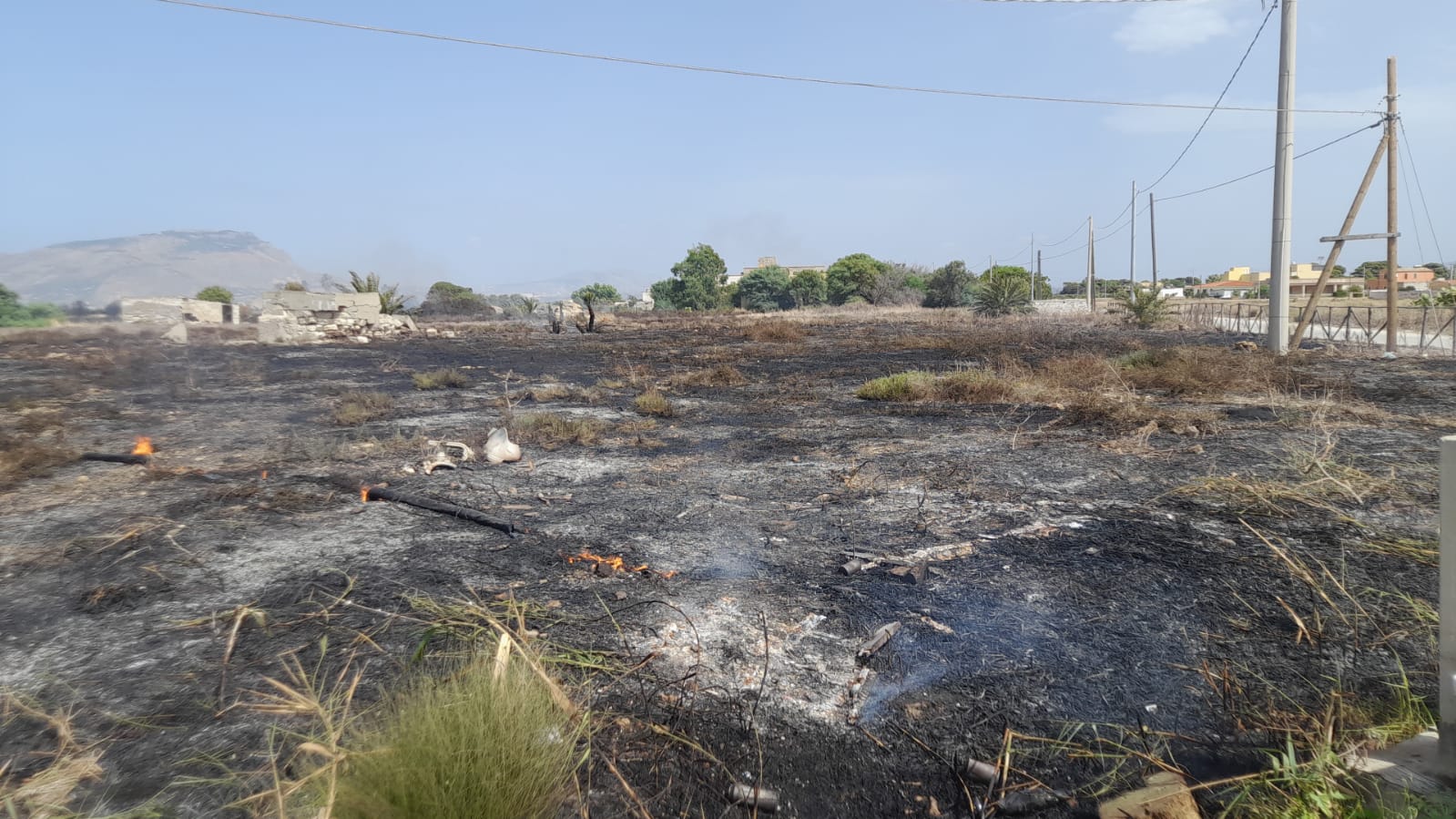 La Riserva delle Saline “preda” dei piromani: la denuncia del WWF – FOTO