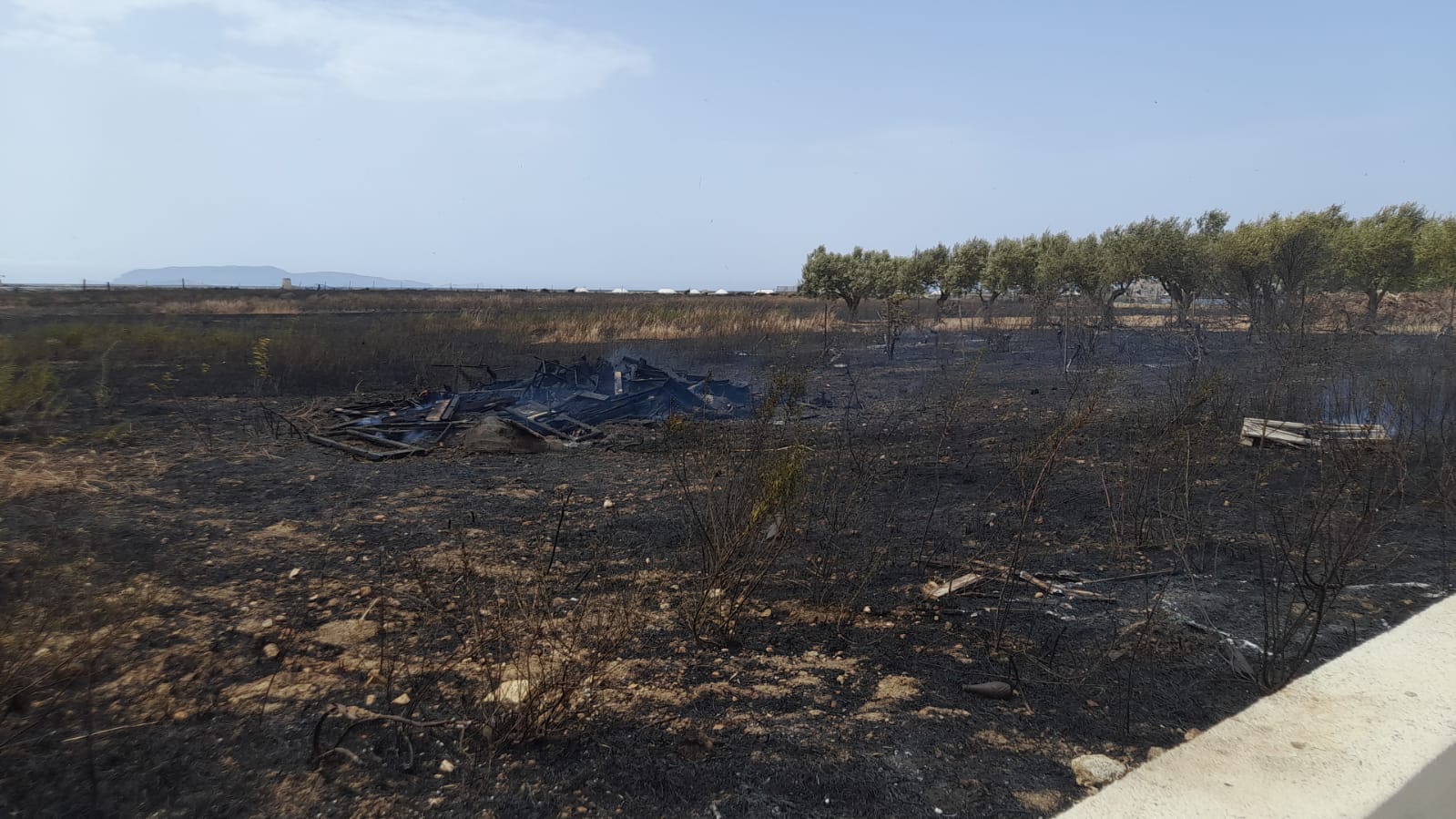 La Riserva delle Saline “preda” dei piromani: la denuncia del WWF – FOTO