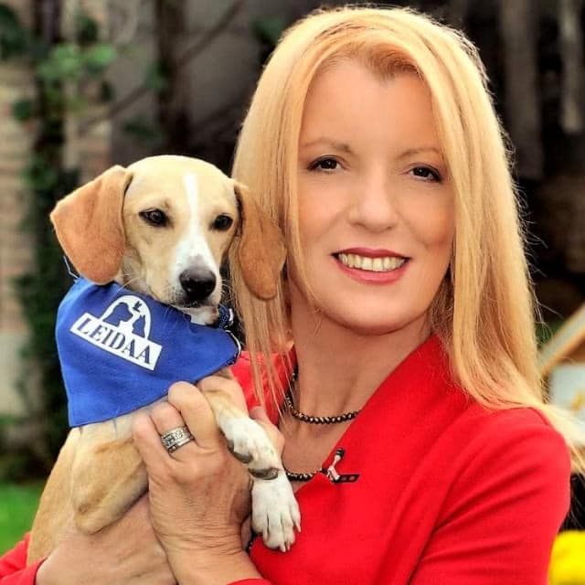 Elezioni, i risultati in Sicilia: i candidati eletti a Camera e Senato