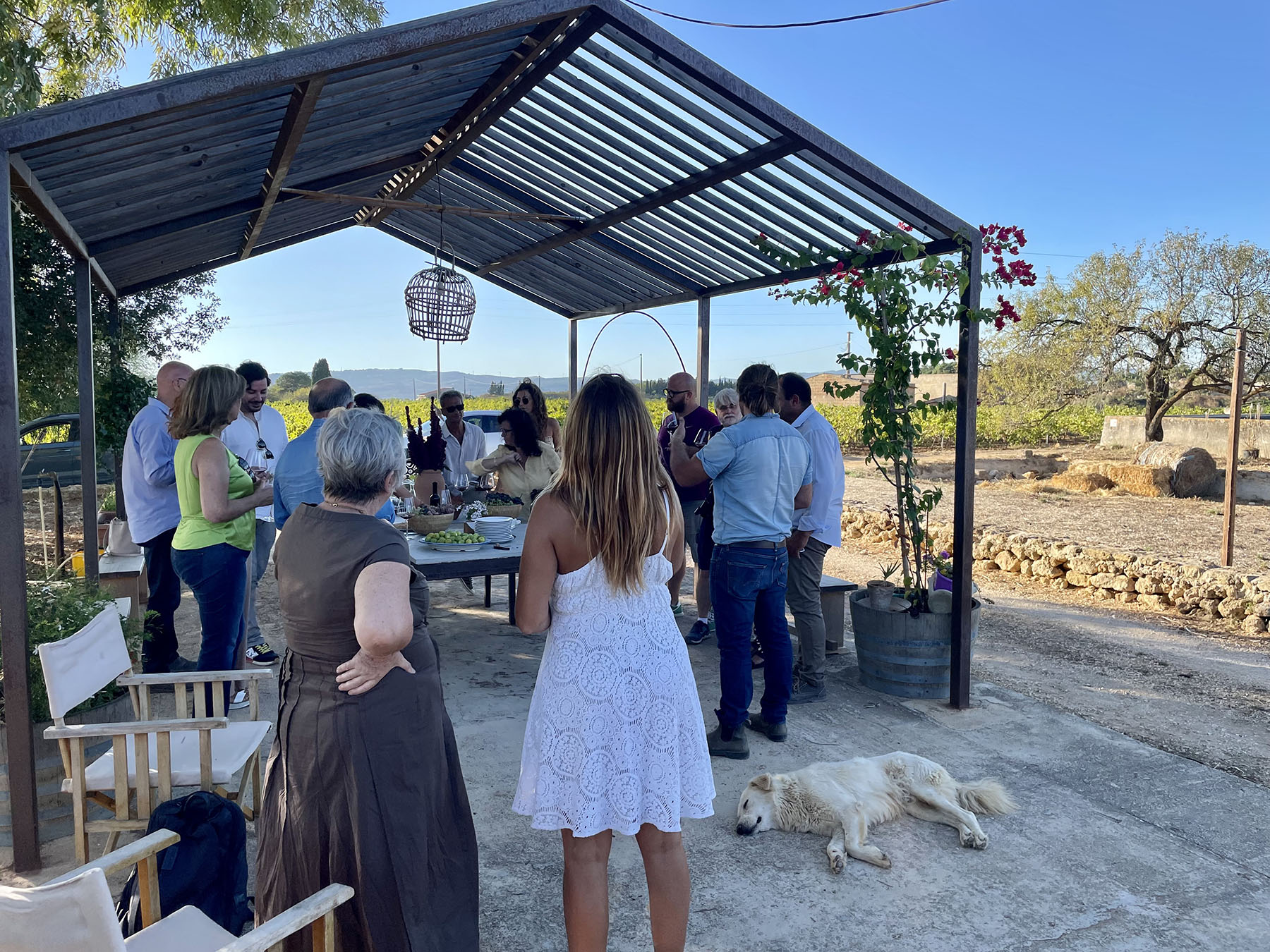 Non solo mare e cultura, Sicilia nuova meta enoturistica