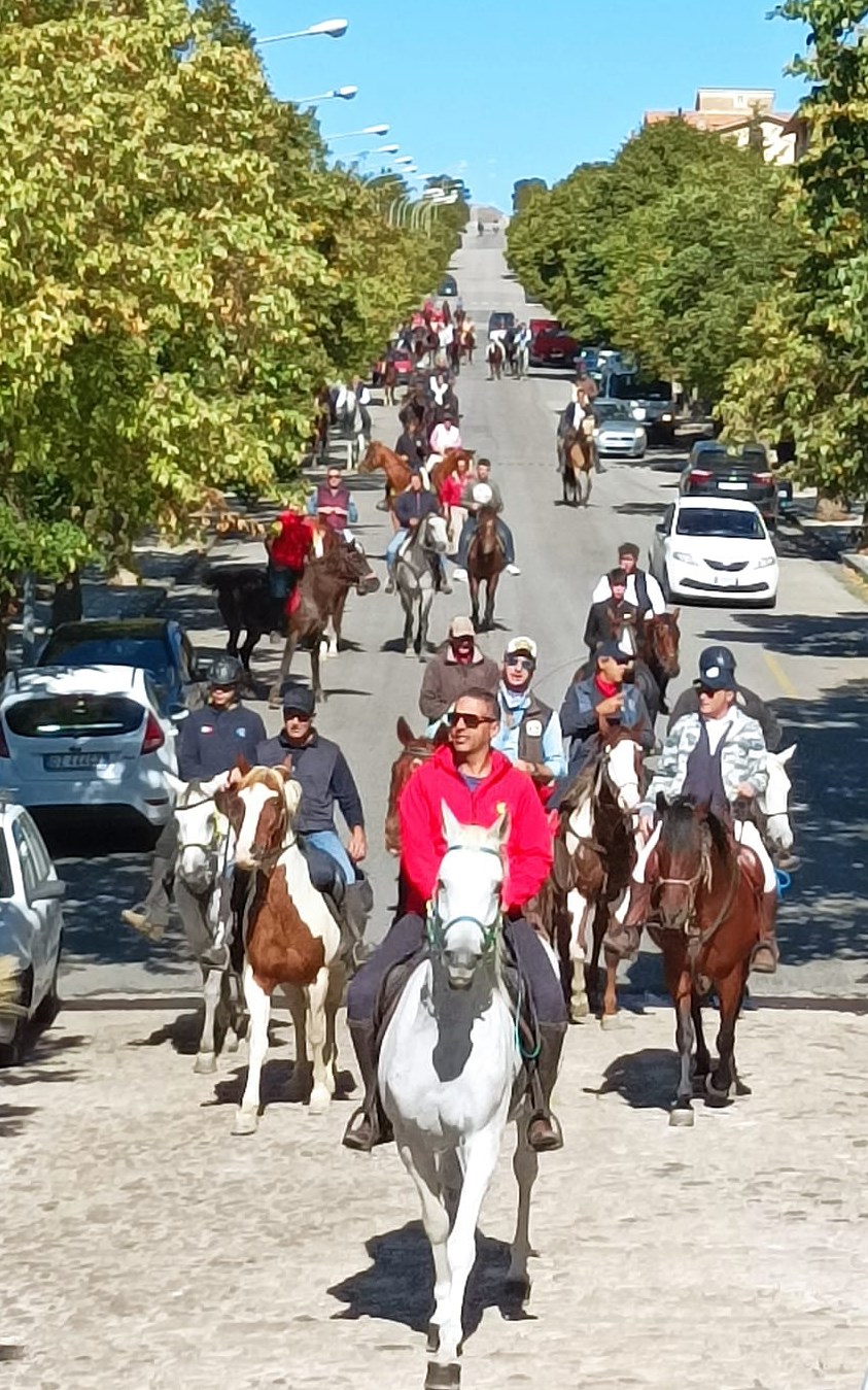 Associazioni ippiche in raduno a Gangi, tra paesaggi, arte, cultura e cibo (FOTO) Associazioni ippiche in raduno a Gangi, tra paesaggi, arte, cultura e cibo (FOTO)
