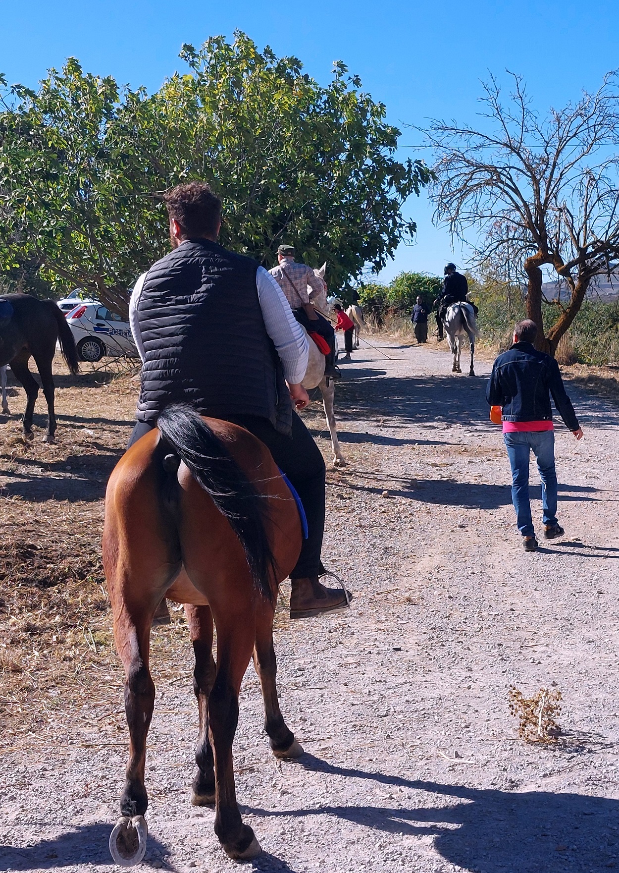 Associazioni ippiche in raduno a Gangi, tra paesaggi, arte, cultura e cibo (FOTO) Associazioni ippiche in raduno a Gangi, tra paesaggi, arte, cultura e cibo (FOTO)
