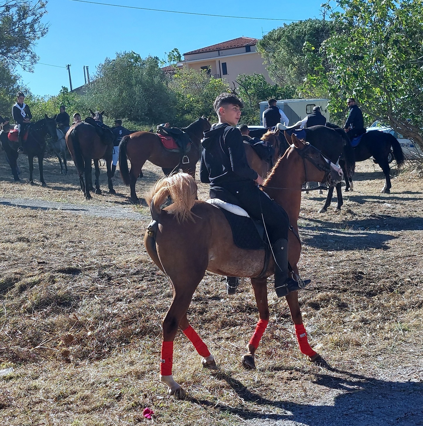 Associazioni ippiche in raduno a Gangi, tra paesaggi, arte, cultura e cibo (FOTO) Associazioni ippiche in raduno a Gangi, tra paesaggi, arte, cultura e cibo (FOTO)