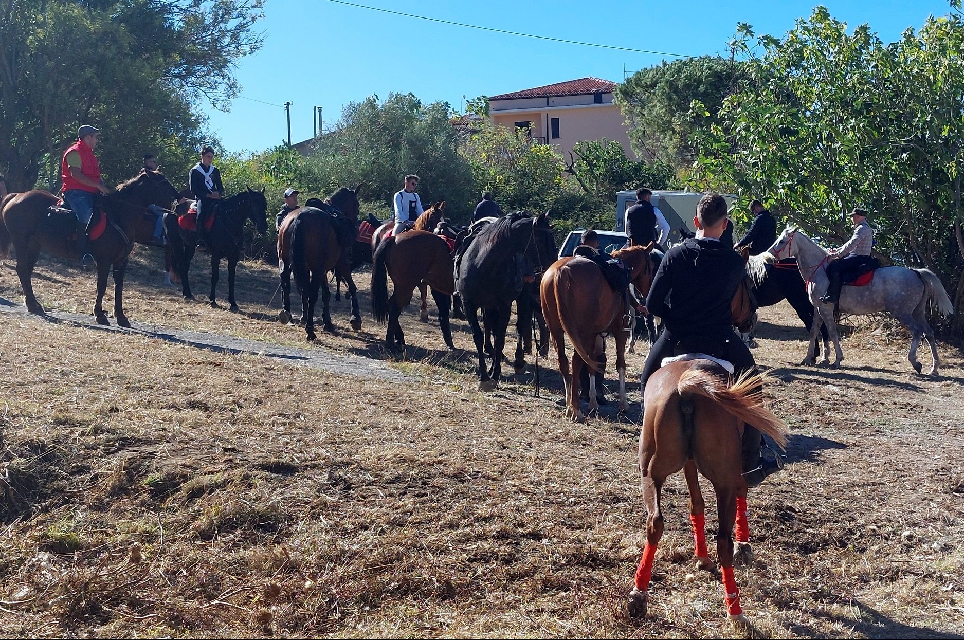 Associazioni ippiche in raduno a Gangi, tra paesaggi, arte, cultura e cibo (FOTO) Associazioni ippiche in raduno a Gangi, tra paesaggi, arte, cultura e cibo (FOTO)