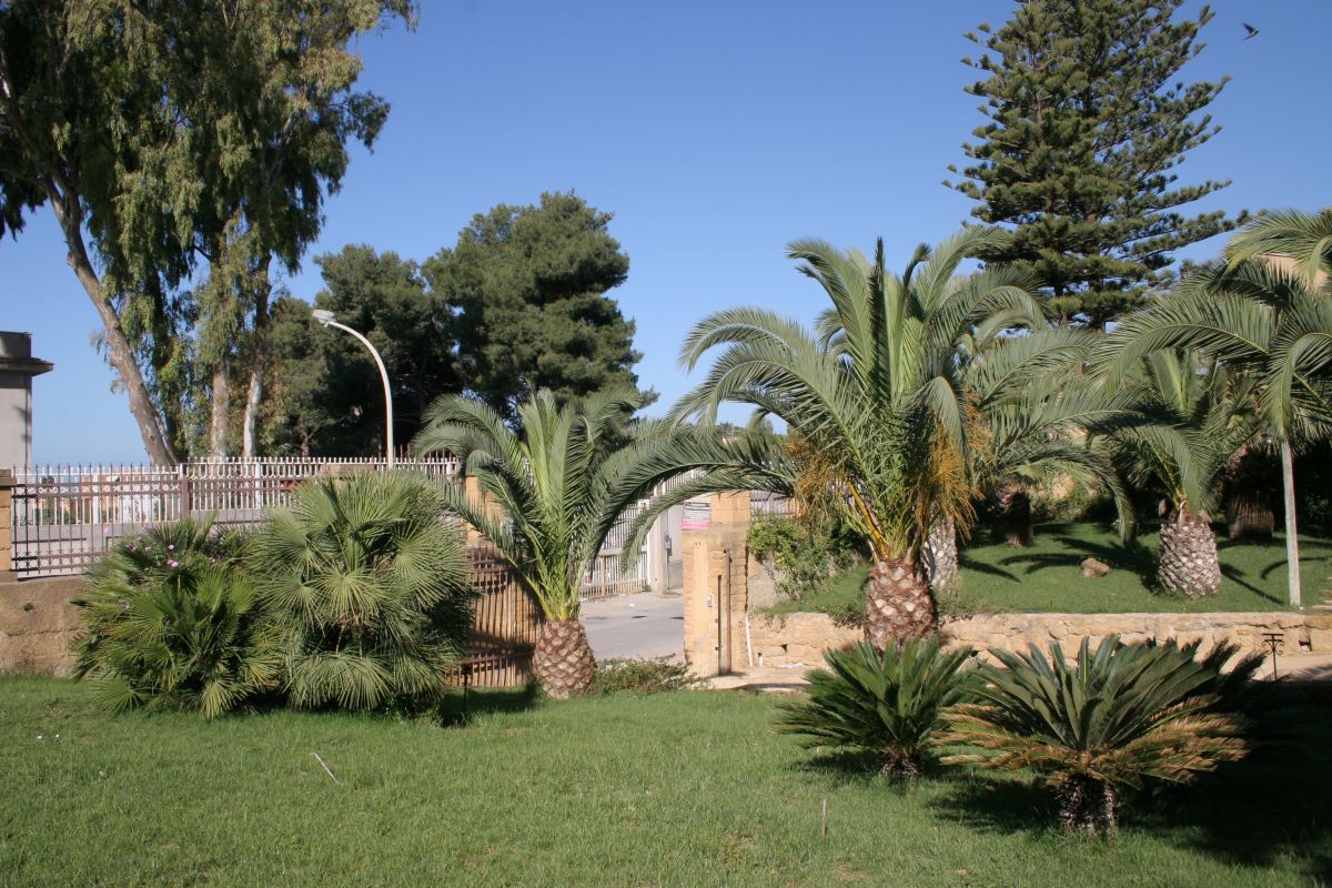 Agrigento, giovani studenti alla scoperta delle tradizioni agricole locali
