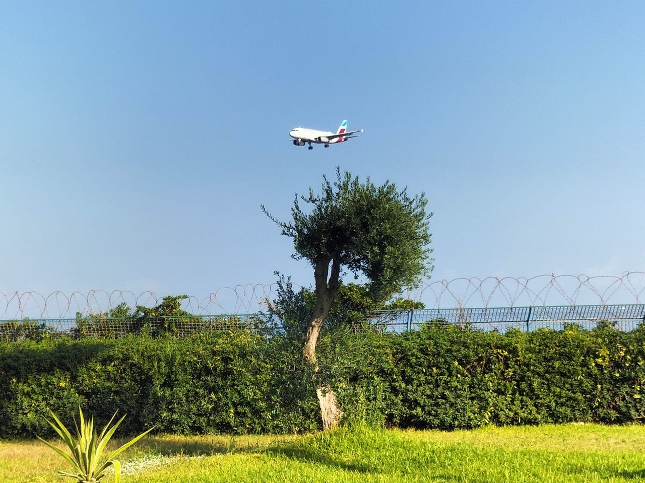 Aeroporto di Palermo, a ottobre +12,5% di passeggeri rispetto al 2019