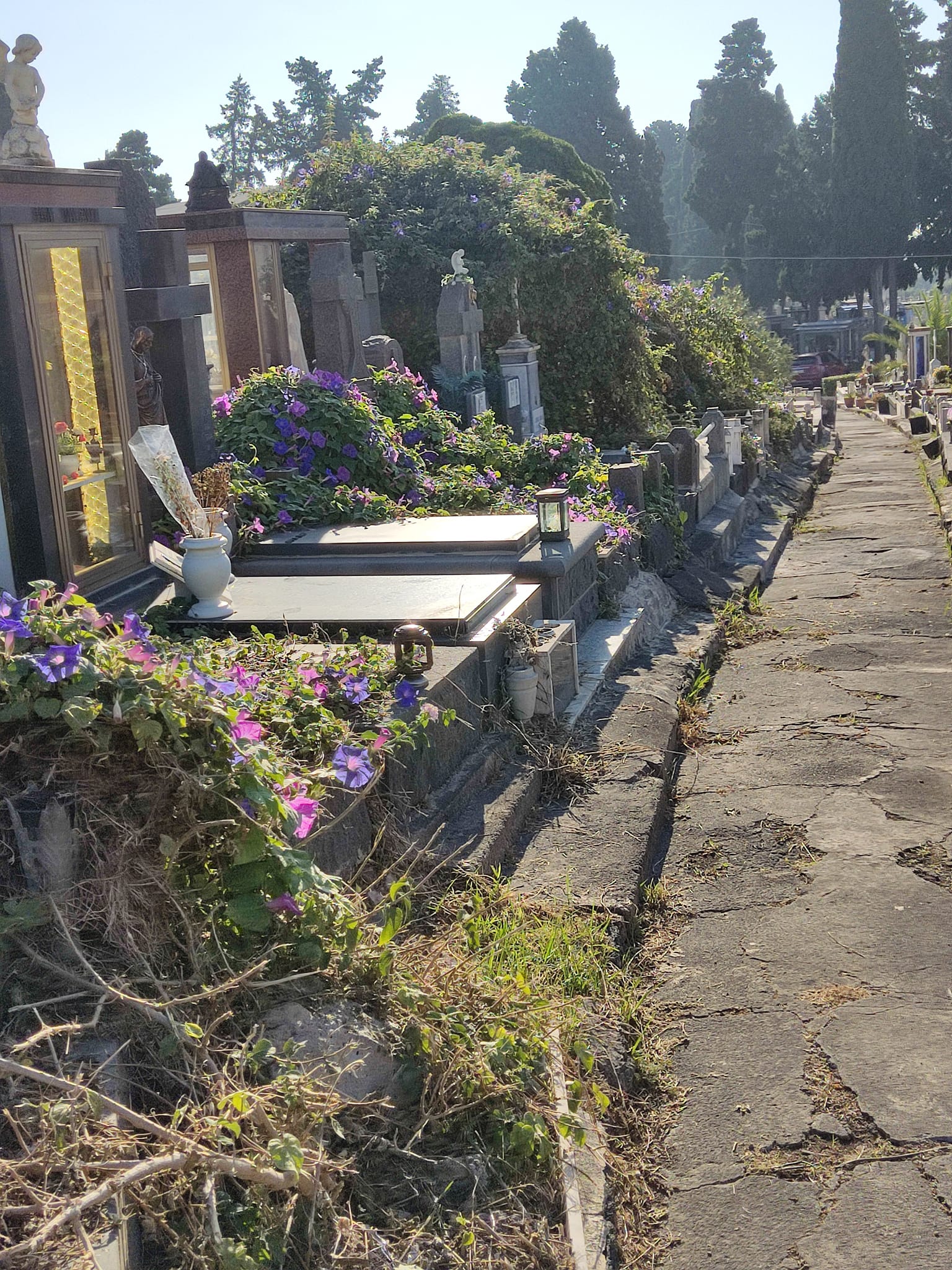 Galleria foto 'Catania, la denuncia del M5S sul cimitero: “Come la città, siamo in mano a nessuno” FOTO' - foto 4
