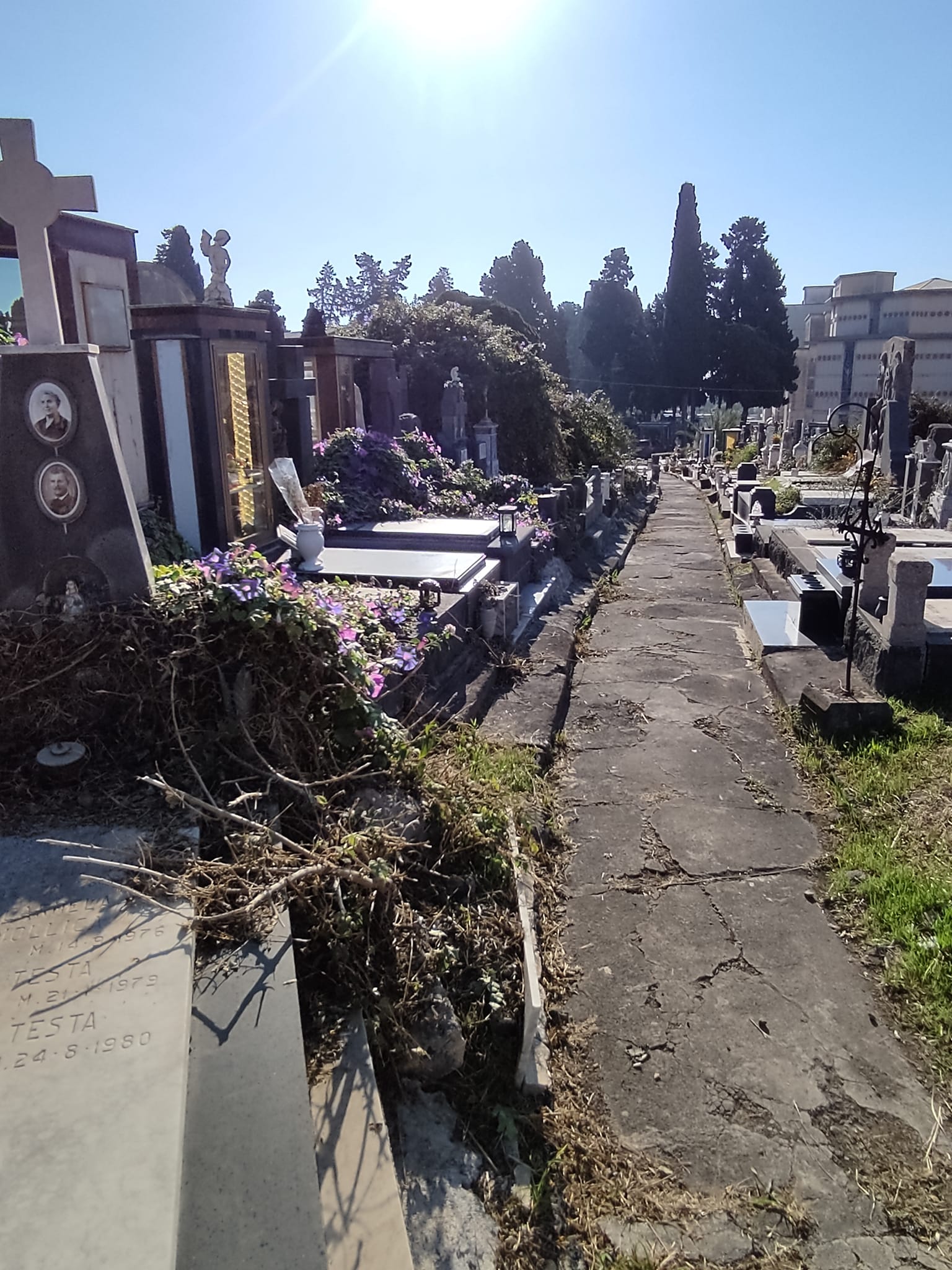 Catania, la denuncia del M5S sul cimitero: “Come la città, siamo in mano a nessuno” FOTO