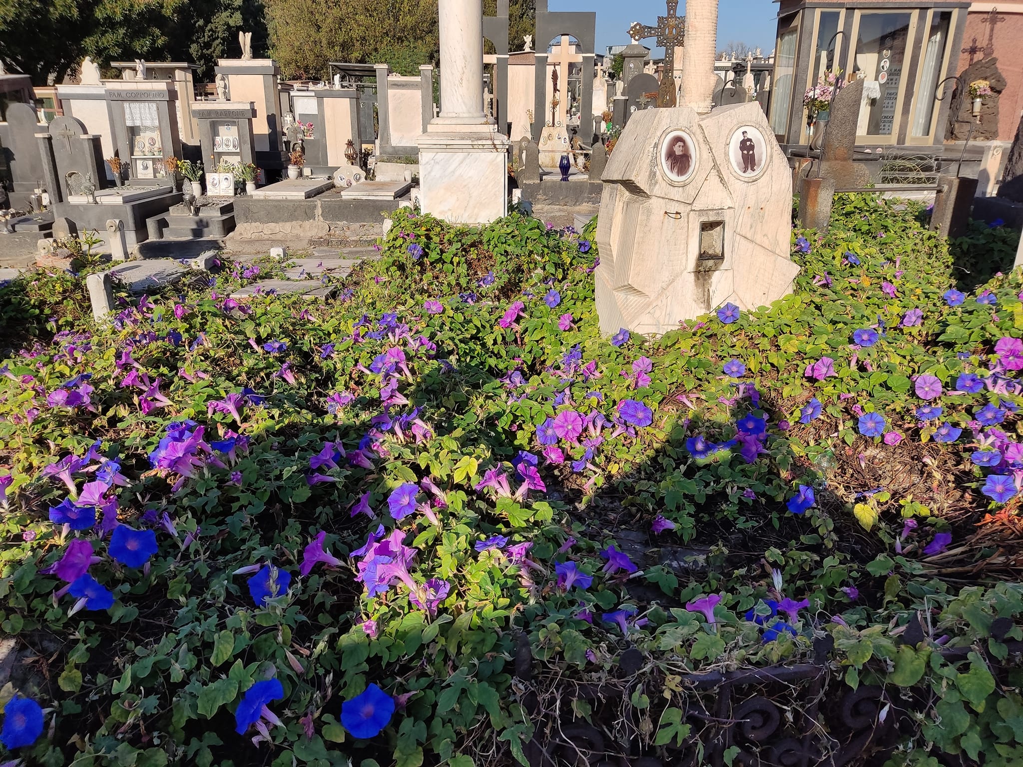 Catania, la denuncia del M5S sul cimitero: “Come la città, siamo in mano a nessuno” FOTO