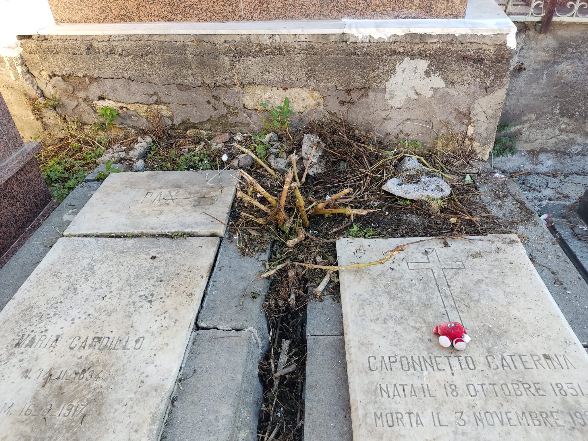 Catania, la denuncia del M5S sul cimitero: “Come la città, siamo in mano a nessuno” FOTO