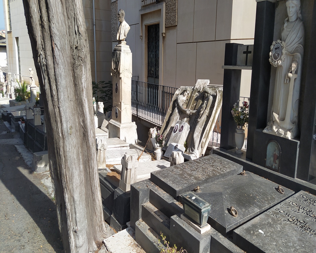 Commemorazione dei defunti, Cimitero di Catania nel degrado nonostante la pulizia – FOTO