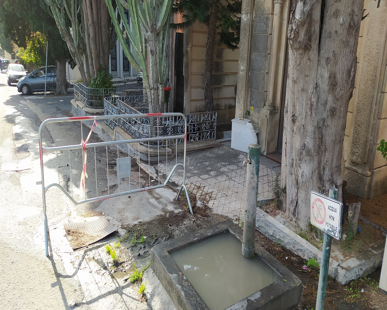 Commemorazione dei defunti, Cimitero di Catania nel degrado nonostante la pulizia – FOTO