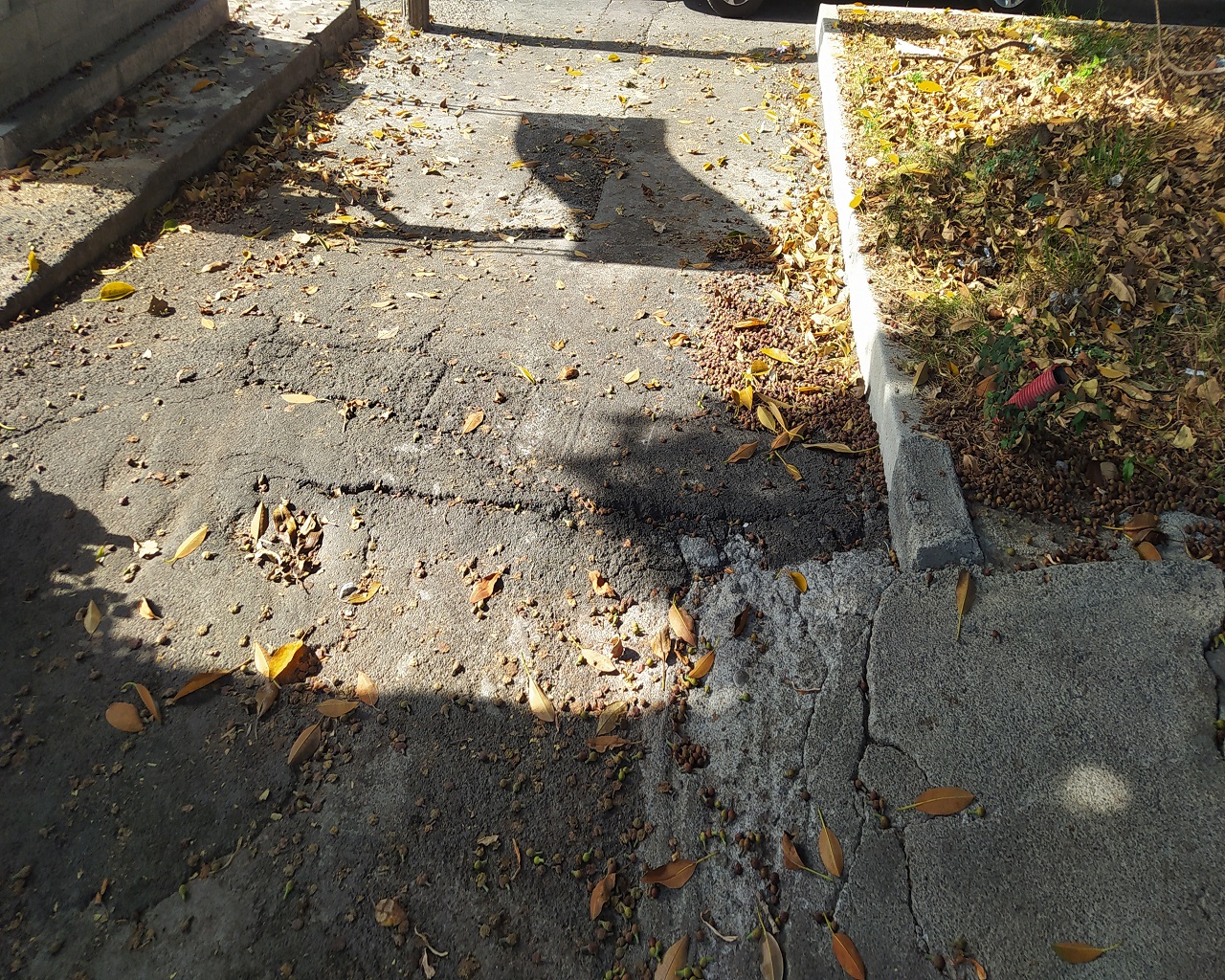 Commemorazione dei defunti, Cimitero di Catania nel degrado nonostante la pulizia – FOTO