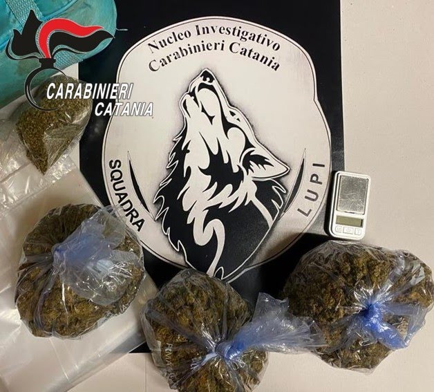 Catania, droga celata in sacchetti per freezer: un arresto
