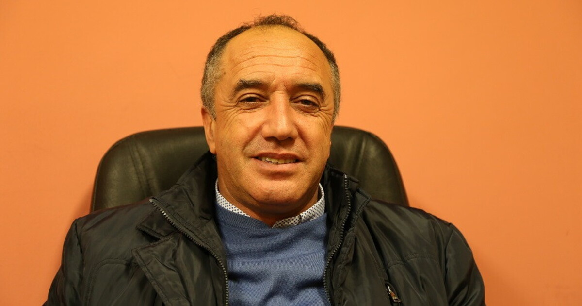 Intimidazione al sindaco di Aragona, tagliati ulivi nel terreno. Coldiretti: “Messaggio inquietante”