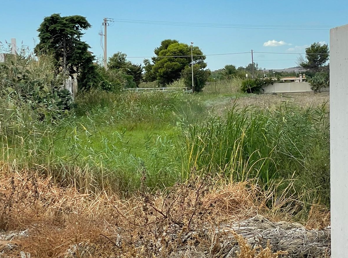 Convenzione tra il Comune di Menfi e l’Autorità di Bacino della Regione: al via la pulizia di due corsi d’acqua