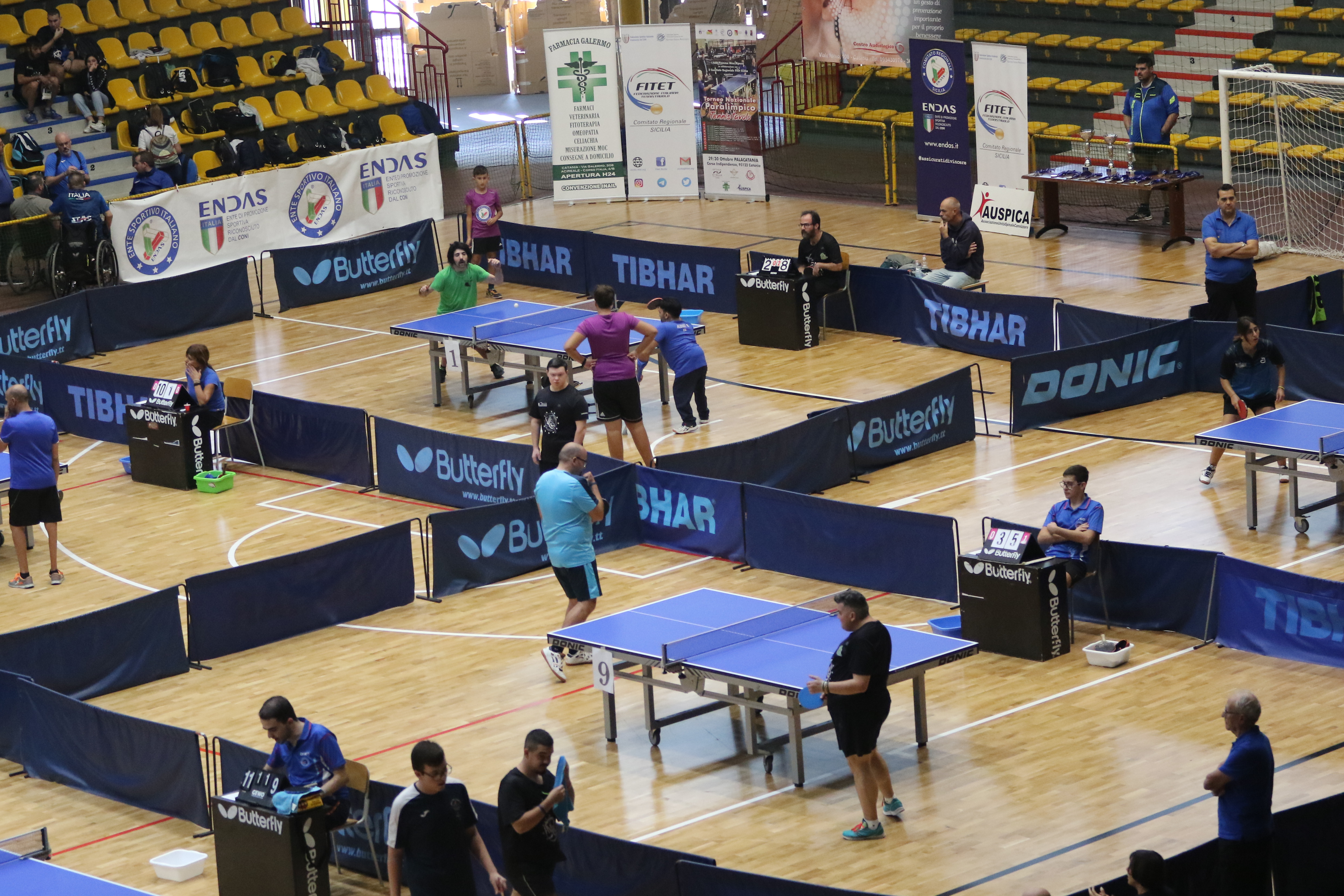 Tennistavolo, a Catania la prima tappa del torneo Paraolimpico – FOTO e VIDEO