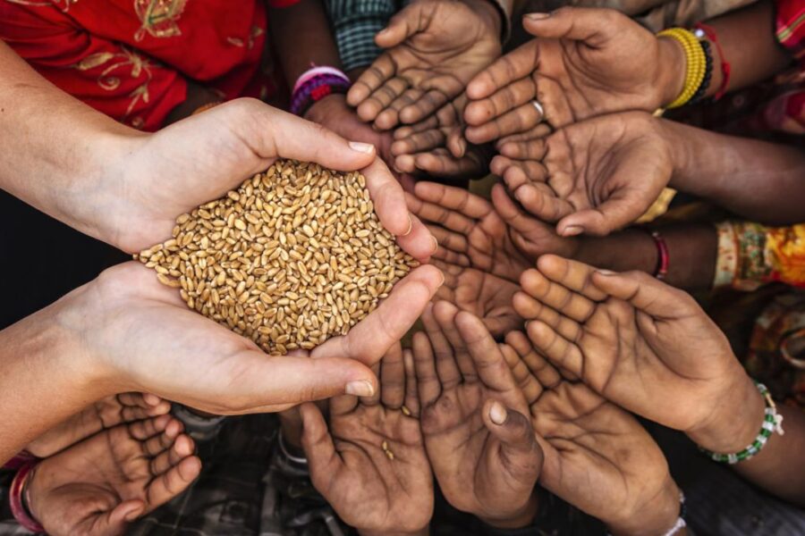 La sconfitta della fame nel mondo sogno ancora lontano dal realizzarsi