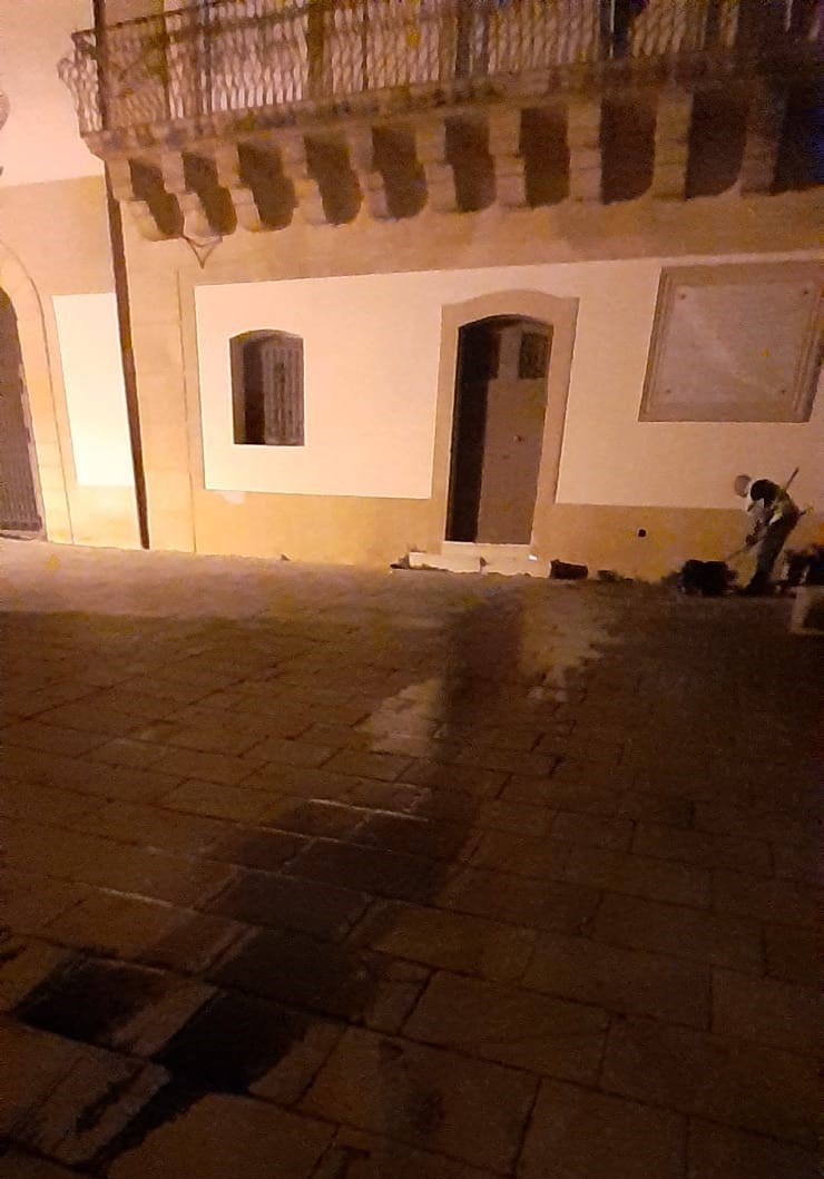 Galleria foto 'Fiat Punto sfonda il cancello di Villa Butera nella notte: conducente in ospedale' - foto 8